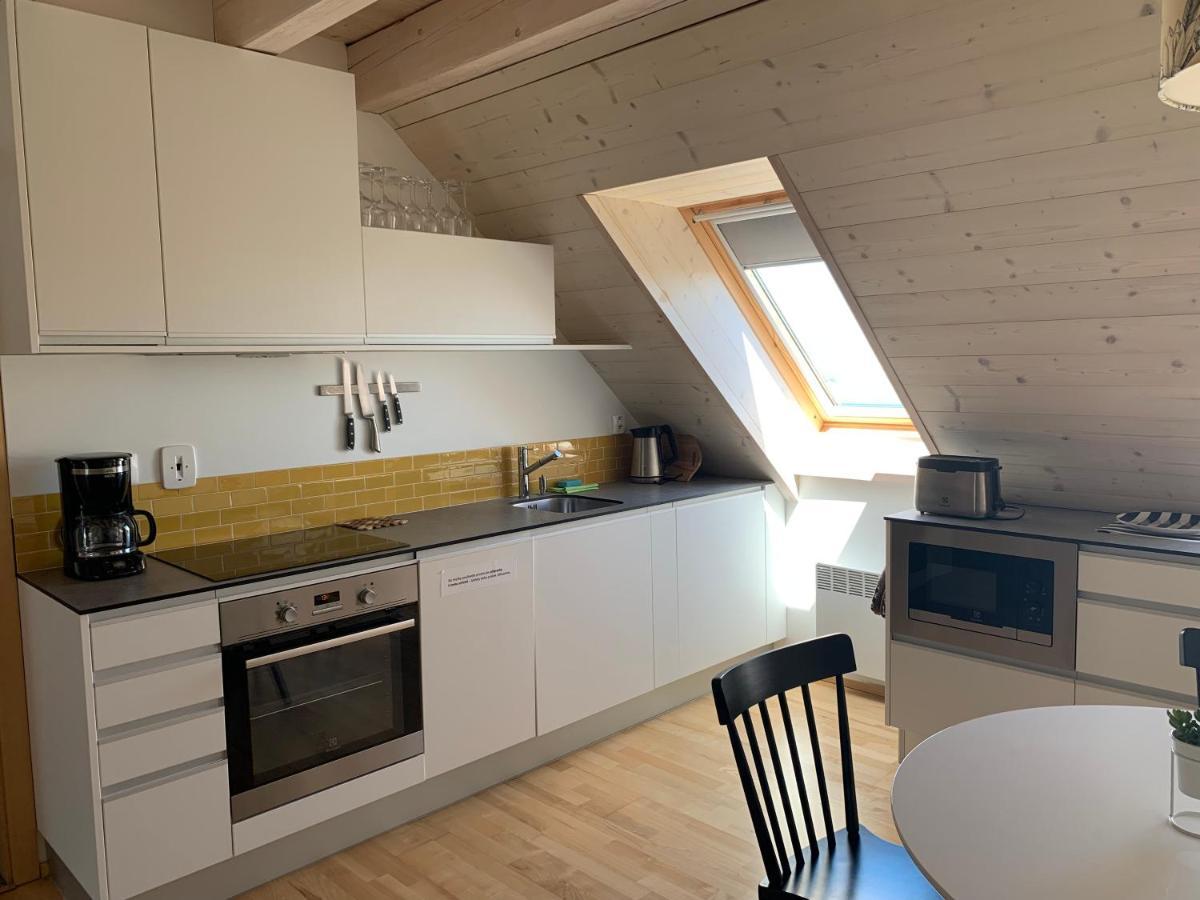 Stylovy Apartman C. 8 U Venuse, Pavlov U Mikulova Extérieur photo