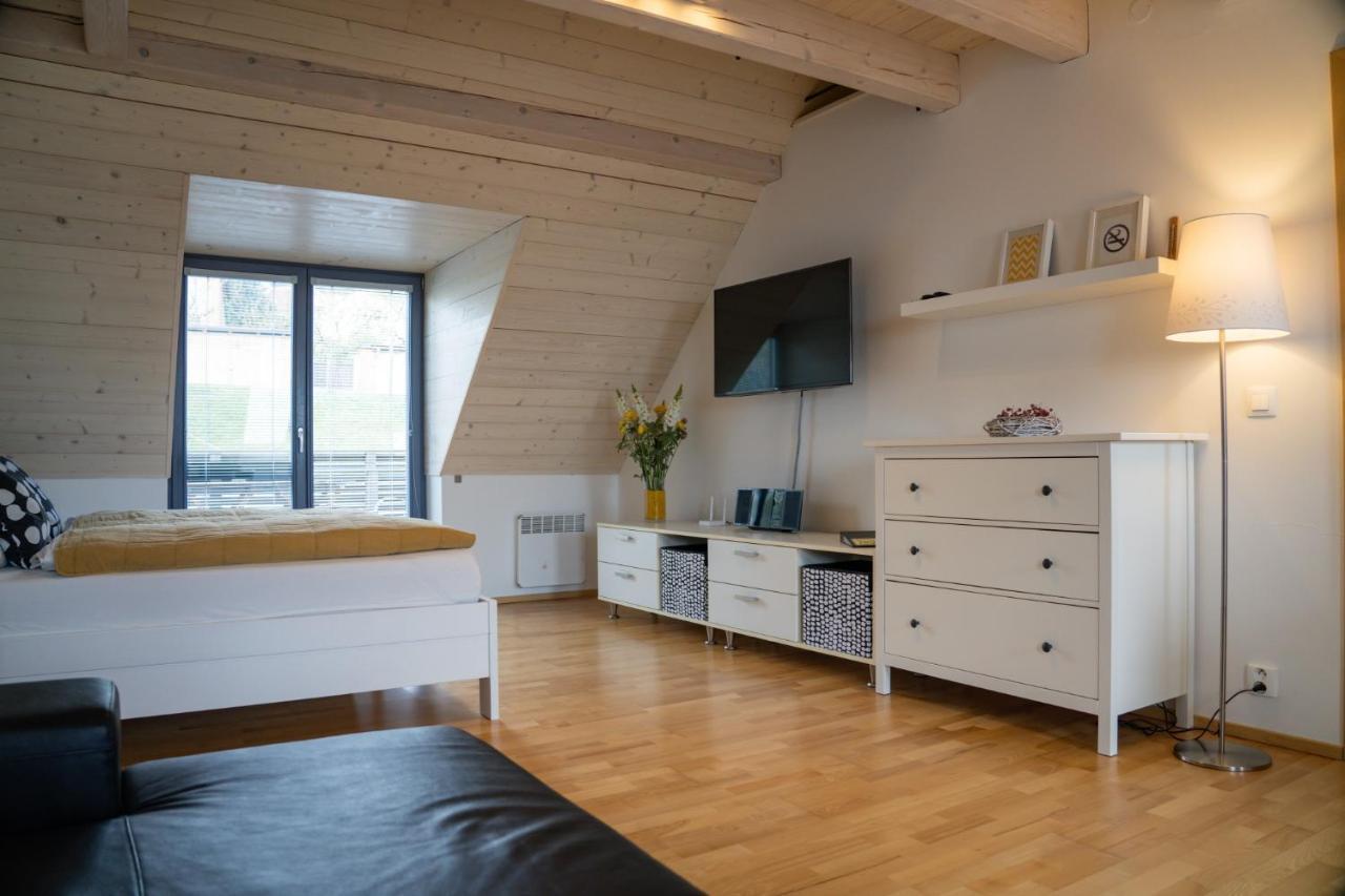 Stylovy Apartman C. 8 U Venuse, Pavlov U Mikulova Extérieur photo